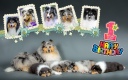 B-day of our litter :)