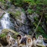 Kólia dlhosrstá - Kólie pri Kmeťovom vodopáde (Jaylin,Grace,Dexter,Samantha,Damien a Jess)