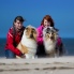 Kólia dlhosrstá - Katka & Sam, Ja & Grace na pláži pri Severnom mori.